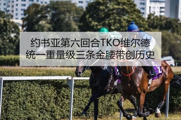 约书亚第六回合TKO维尔德 统一重量级三条金腰带创历史